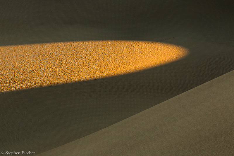 In to the light