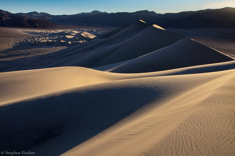 Dunes forever