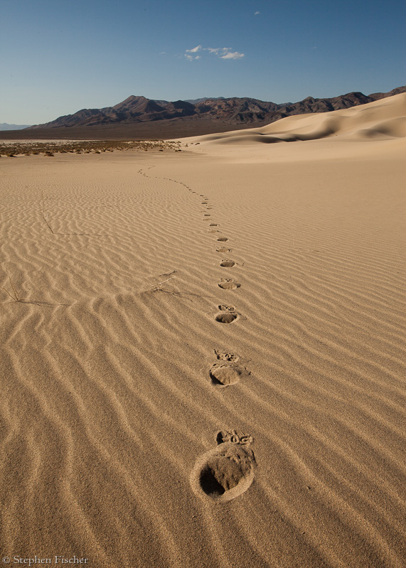 The path out