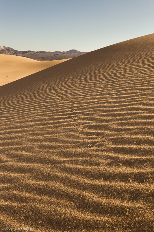 Desert tracks