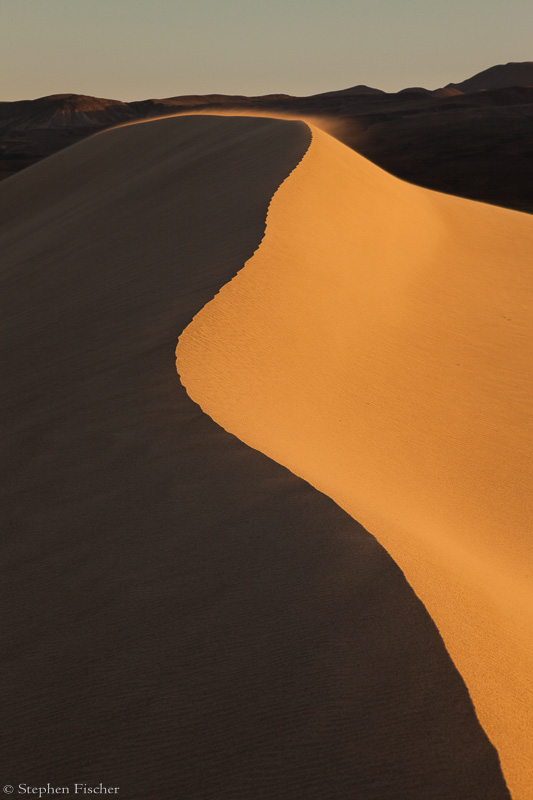 Wind swept dune