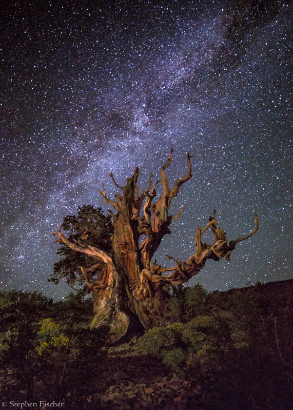 The nature of time