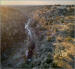 Cosumnes River from above