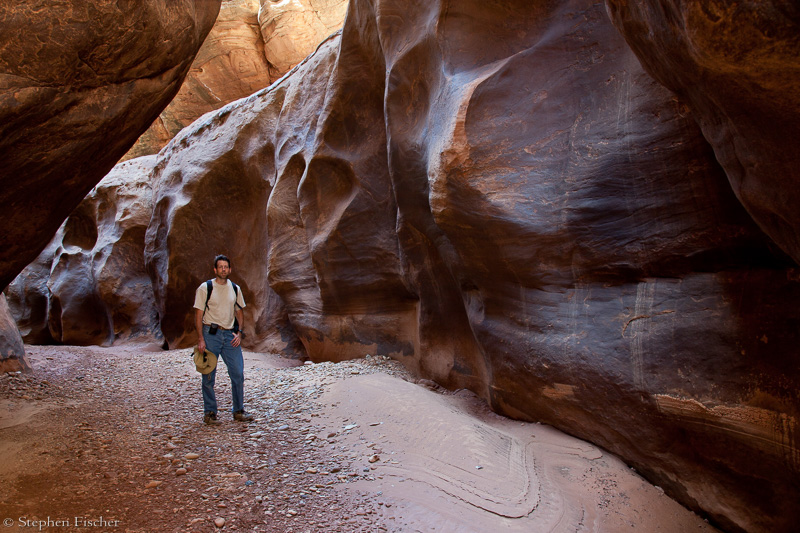 Steve in the black hole