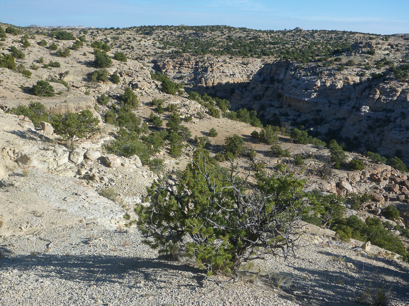 From the top of the trailhead