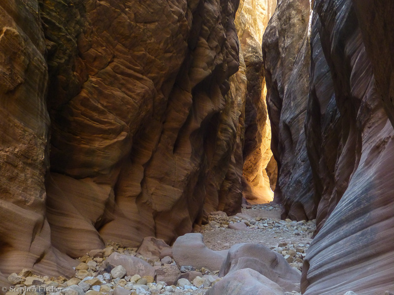 Heading into the light