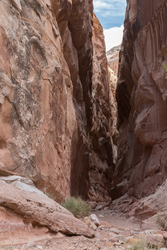Into the crack