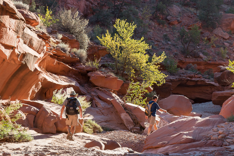 Departing the hollow