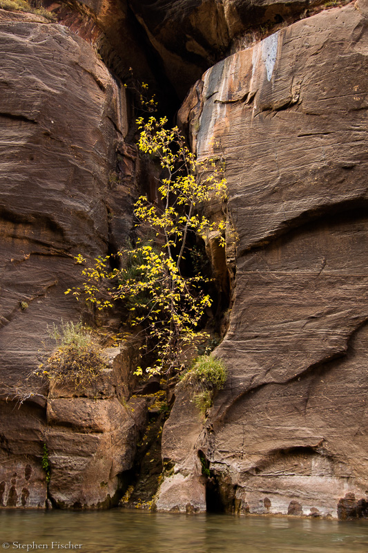 Framed in stone
