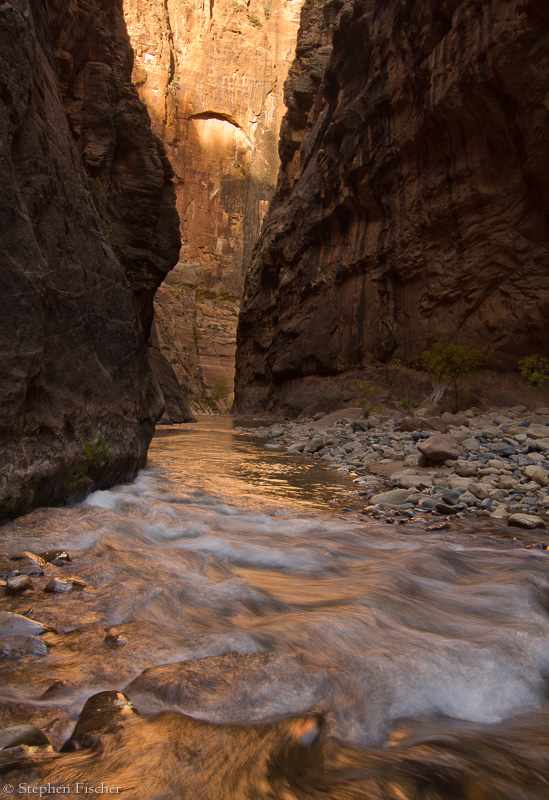 Golden narrows