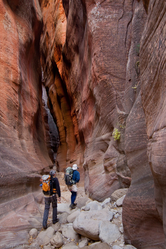 Entering the slot