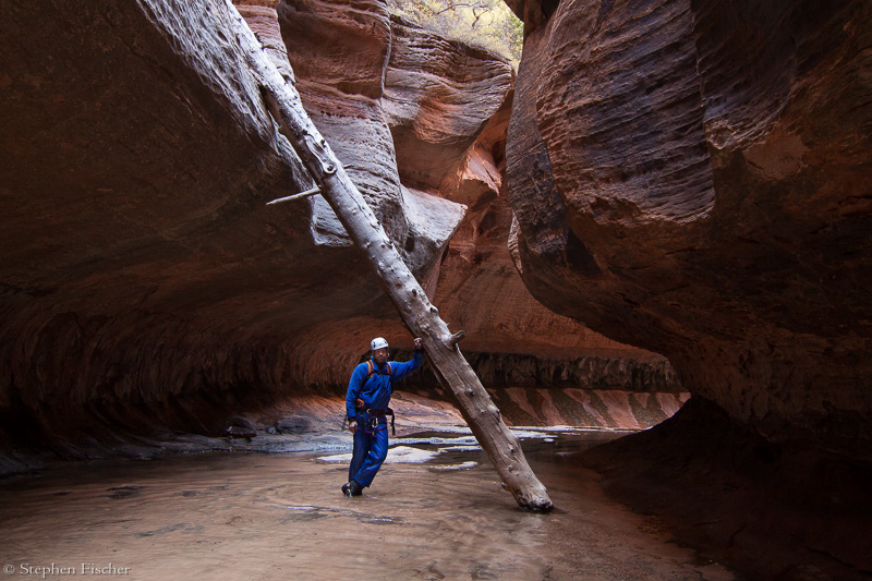 Reaching the north pole