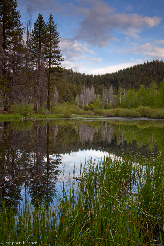 Reflecting Pond