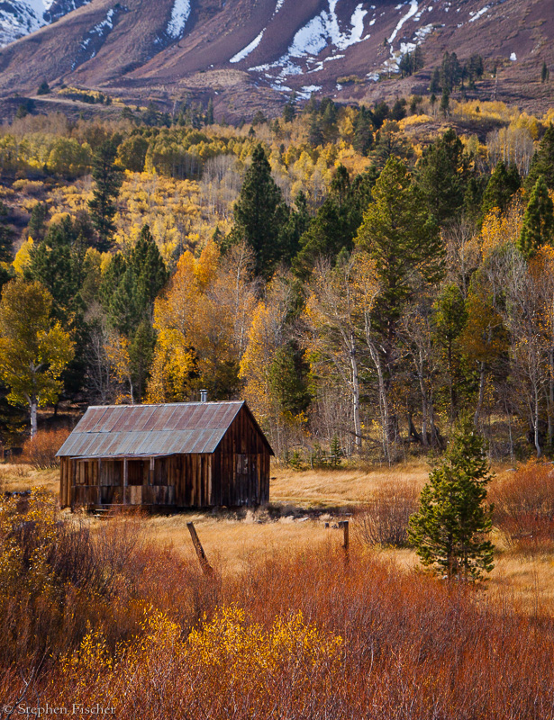 Fall Cabin