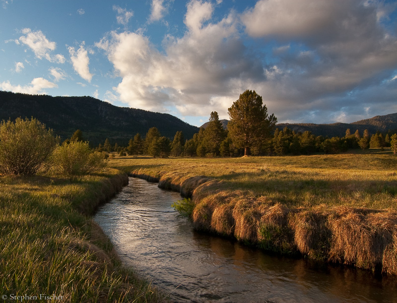 The Carson through Hope Valley