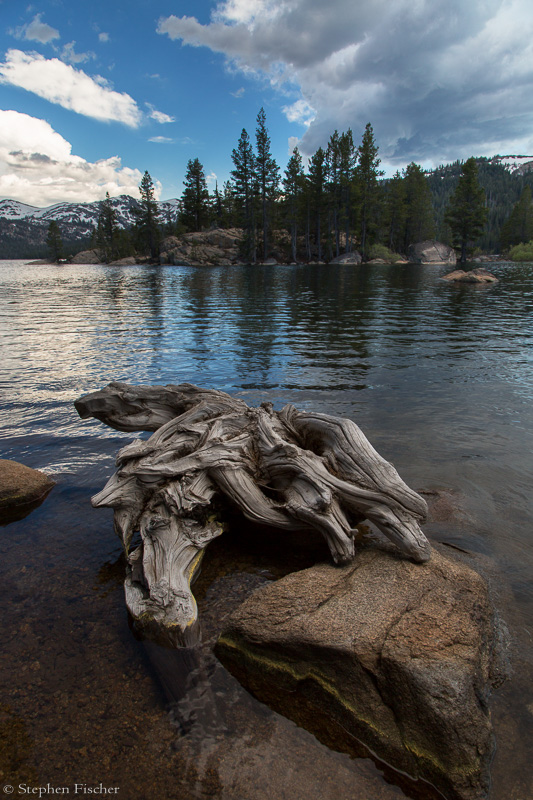 Washed ashore