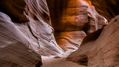 Constrychnine technical slot canyon