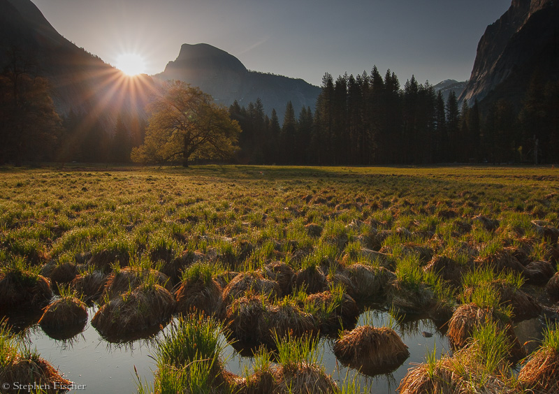 Sunrise on Cook's Meadow