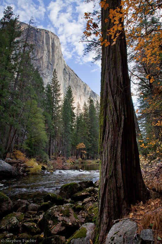 Autumn on the Merced
