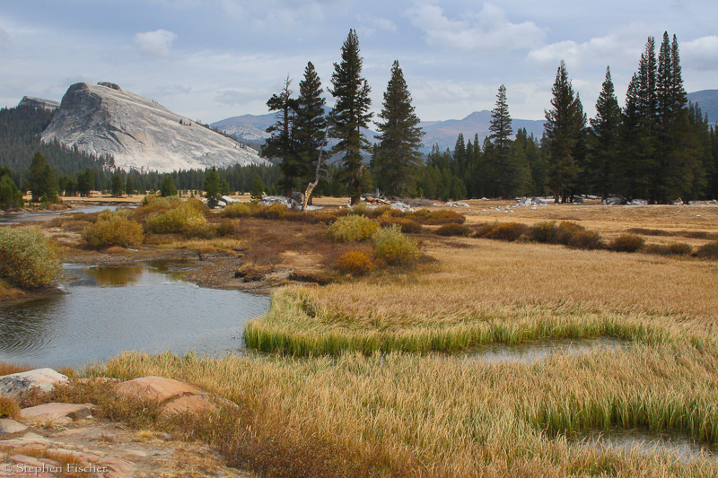 Lembert dome at Toulumne Meadows