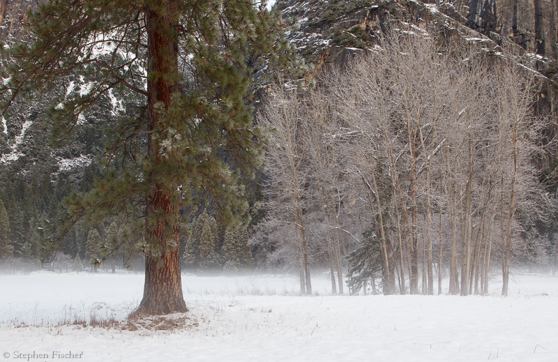 Yosemite Valley Winter