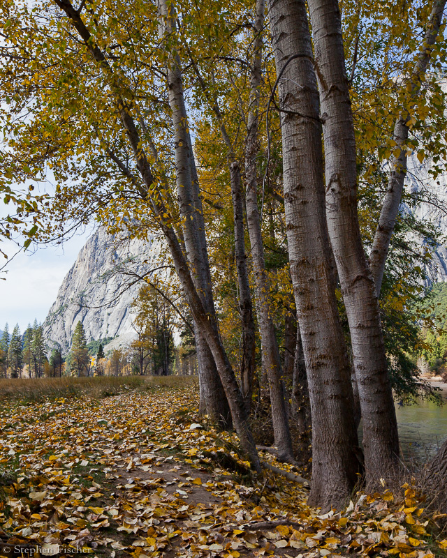 Yosemite autumn