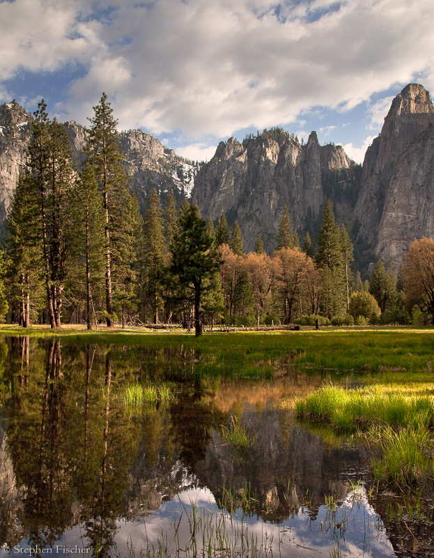 Meadow and the cathedral