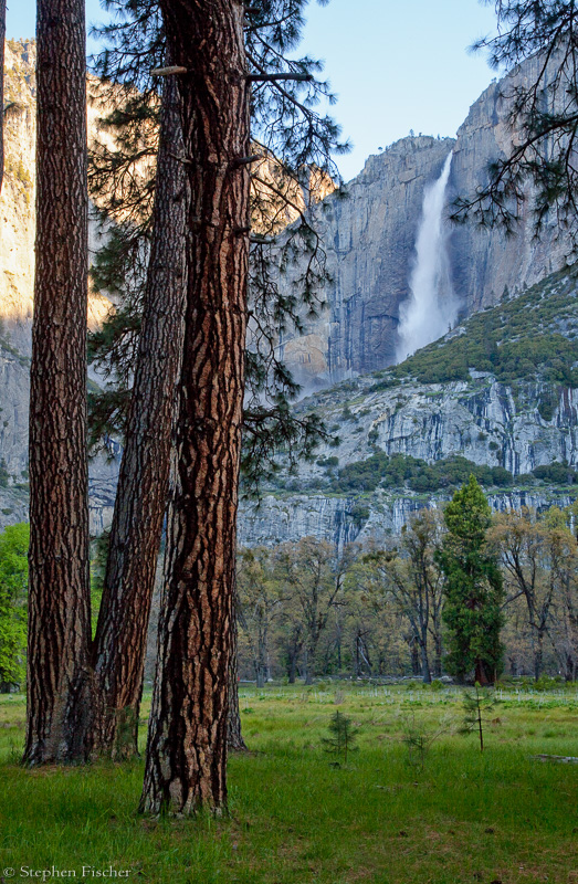 The falls and the pines