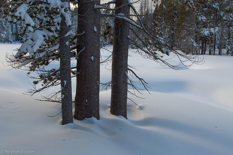 The softness of winter