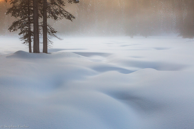 Winter softness